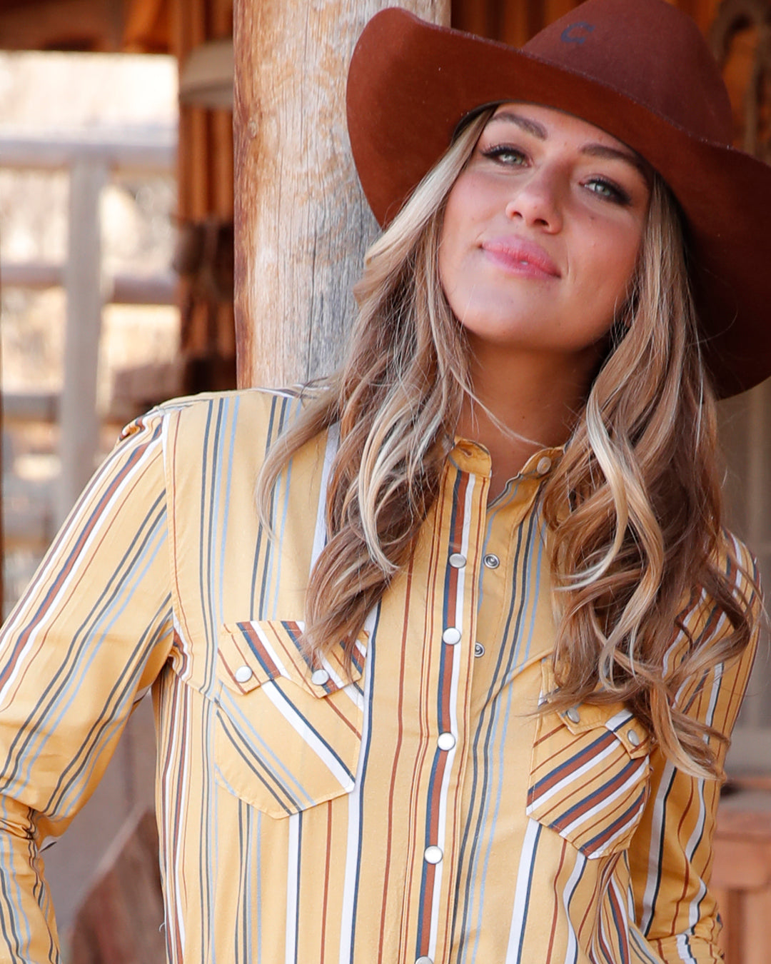 Women's Boyfriend Fit Stripe Snap Front Western Shirt
